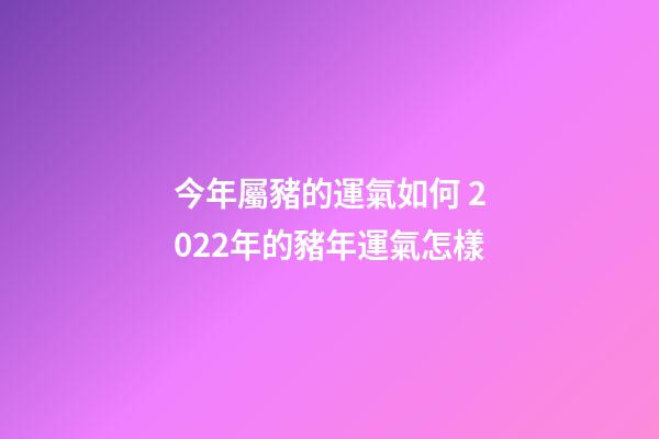 今年屬豬的運氣如何 2022年的豬年運氣怎樣